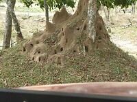 P1040765