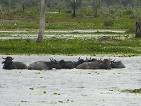 P1040780
