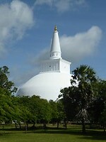P1040823