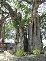 P1040892