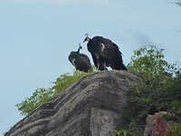 P1040915