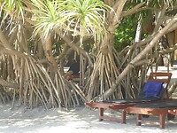 P1040927