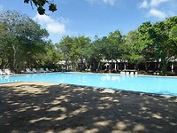 P1040929