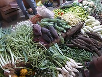 P1040949