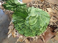 P1040951