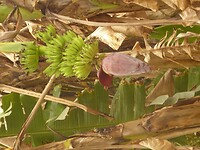 P1040965