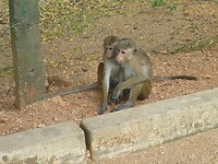 P1050007
