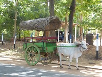P1050026
