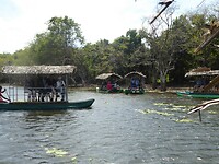 P1050033