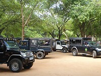P1050078