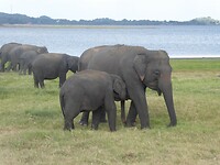 P1050104