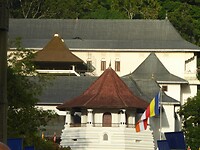 P1050221