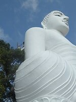 P1050279