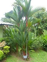 P1050317