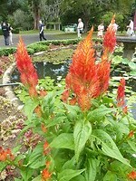 P1050322
