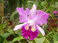 P1050335