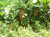 P1050340