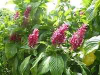 P1050341