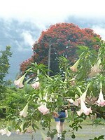 P1050381