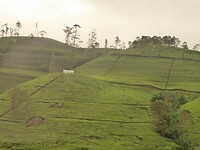 P1050412