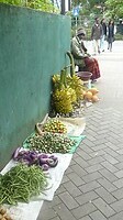 P1050420