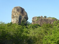 P1050458