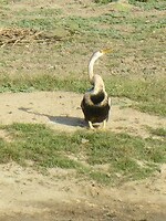 P1050478