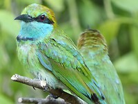 P1050490