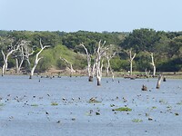 P1050510