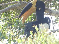 P1050537