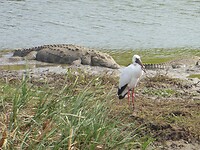 P1050538