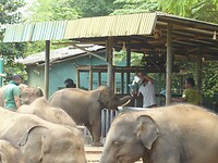 P1050588