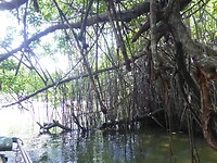 P1050657