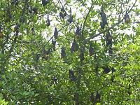 P1050661