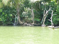 P1050690