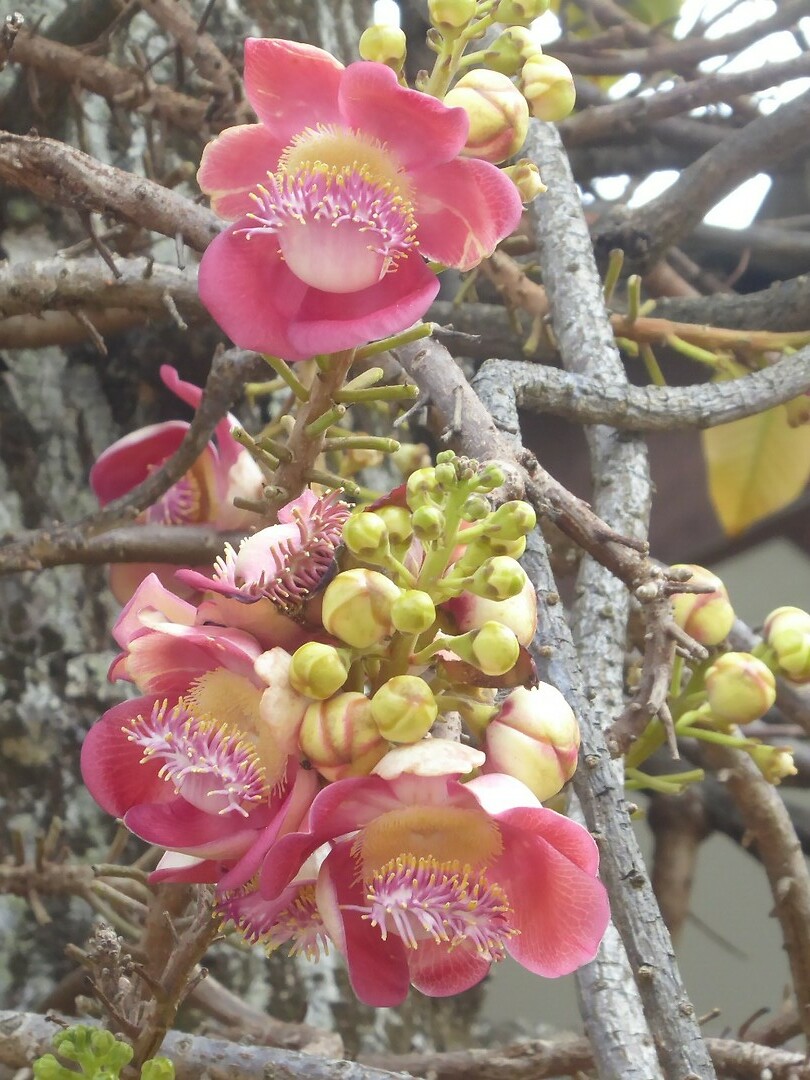 P1050739