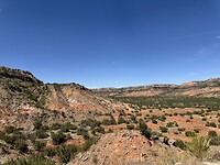 Palo Duro