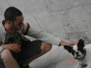Nice dog