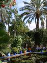 Jardin Majorelle