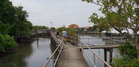 Smalle paadjes bij de fietstocht