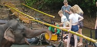 Huis olifant River Kwai Jungle Rafts