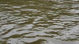 River kwai jungle rafts