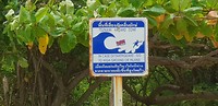 Tsunami-gevaar