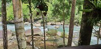 Jungle Khao Sok