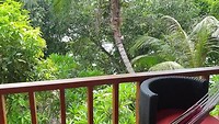 20190710_115627