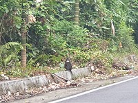 20190711_153928