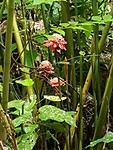 20190711_124239