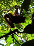 20190713_100324