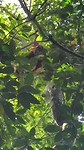 20190713_095239