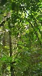 VID-20190714-WA0011